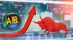 金陵体育：公司股票波动严重异常可能存在非理