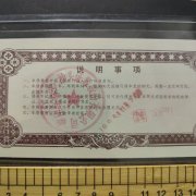 神宇股份：关于向不特定对象发行可转换公司债