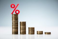 锂电负极行业首份半年报出炉翔丰华毛利率下降