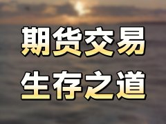 2025中国（郑州）国际期货论坛将于8月19日至20日