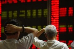 途牛：上半年净收入约135亿元批准新的1000万美元