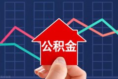 力保武汉东湖中心项目重启：金融街将财务资助