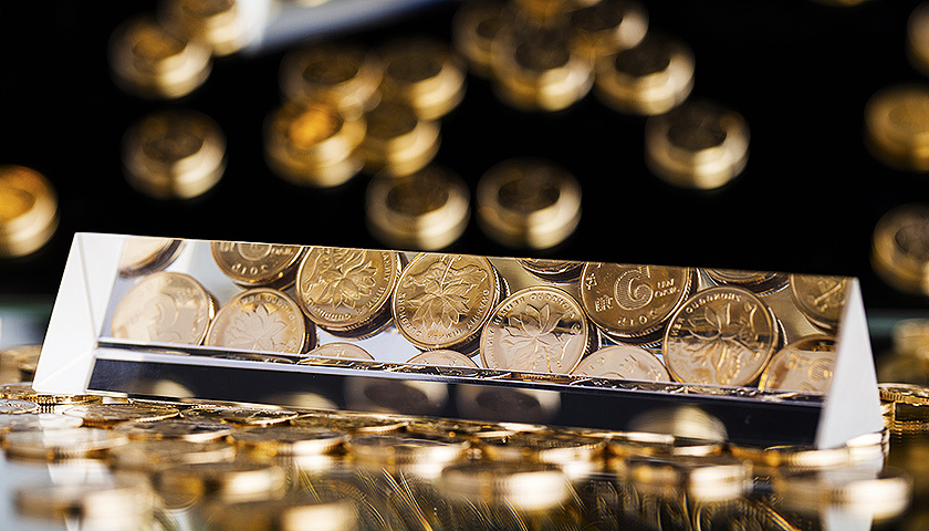 江夏区政府债券精准支持重点项目建设为区域经济发展注入强劲动力