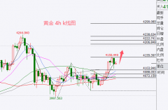 外汇百晓生：黄金强势格局不变晚间静待突破4