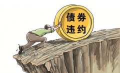 “中南债券市场互联互通及合作研讨会”在南非