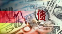 第五批地方政府债券成功发行