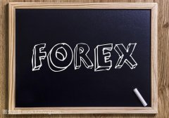 国家外汇管理局：5月我国外汇市场运行平稳