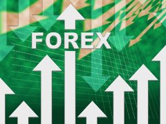 国家外汇管理局：实施优化外贸新业态主体外汇